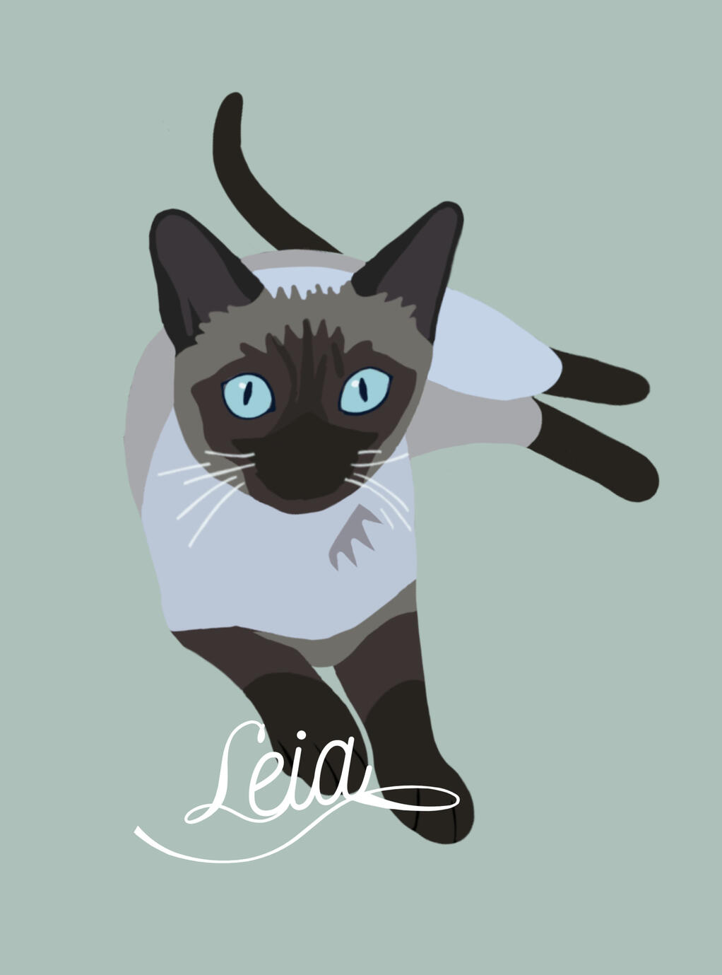 Retrato Ilustrado Leia